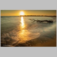 2020_06_21_0254_Ahrenshoop-Strand_IMG_0601.jpg